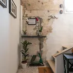 Apartment Biennale Gallery *